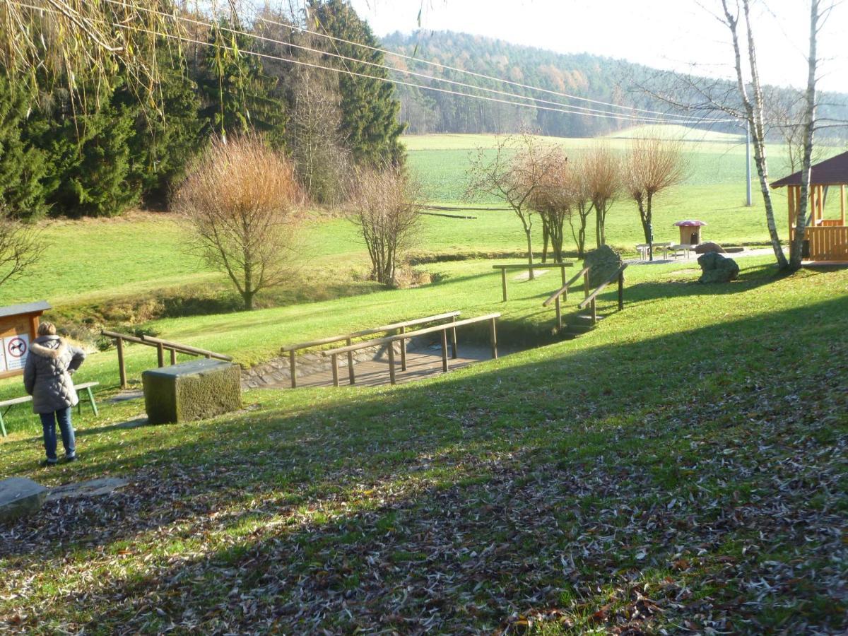Blockhaus Mit Wlan Bayern Villa Stamsried Dış mekan fotoğraf