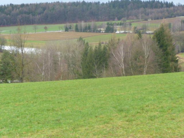 Blockhaus Mit Wlan Bayern Villa Stamsried Dış mekan fotoğraf